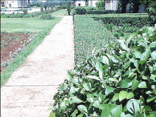amenagement